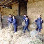 Children in hay barn filling hay nets