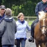 ponies and volunteers