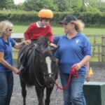 Small child on chestnut pony