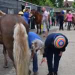 Child grooming with hoof pick