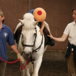 Child on pony leaning forward to horses neck