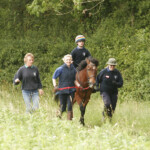 Riding out in field